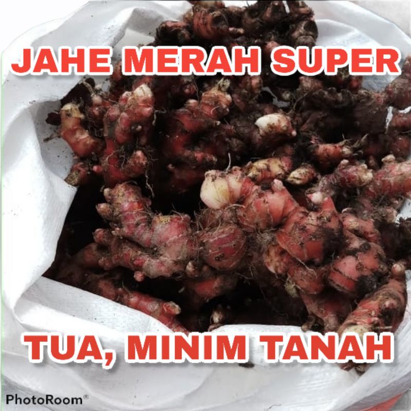 

jahe merah super minim tanah 1 kg
