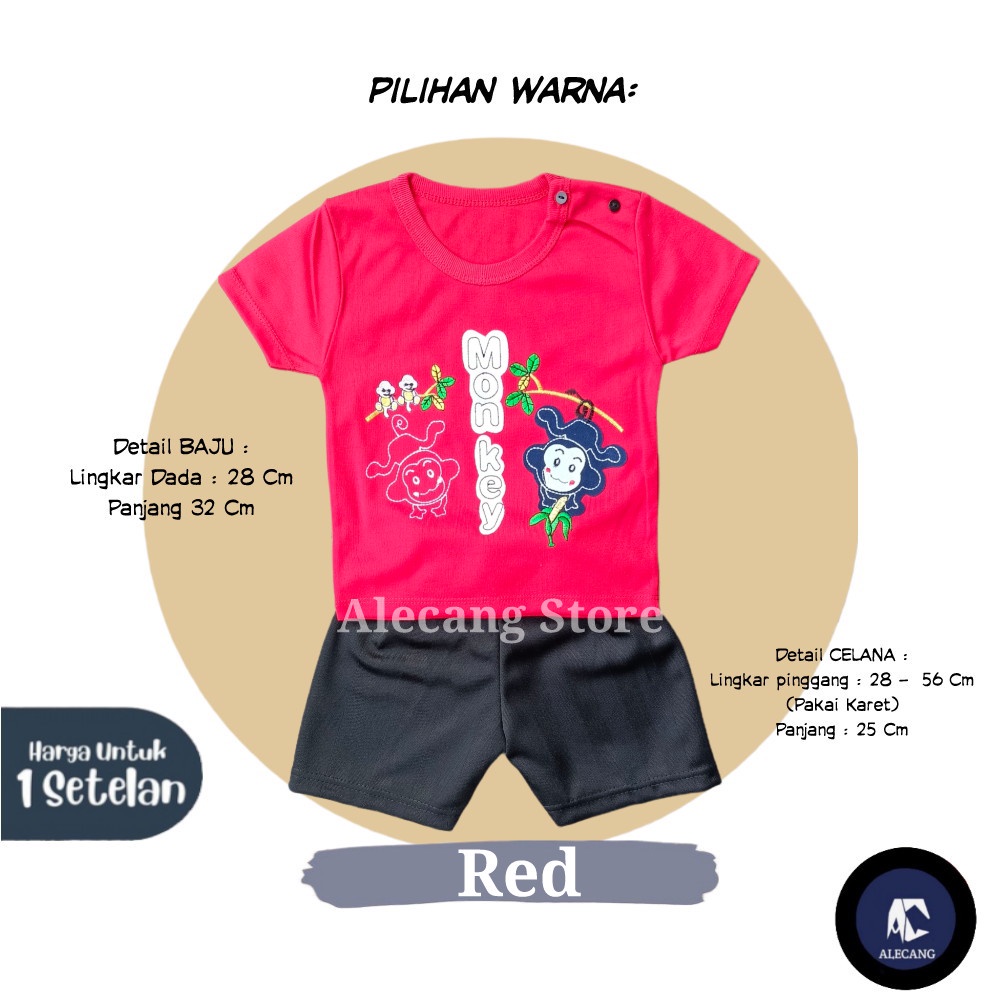 Setelan Pendek Baju Bayi Laki-laki size 6 - 12 Bulan Merk EDRYCA