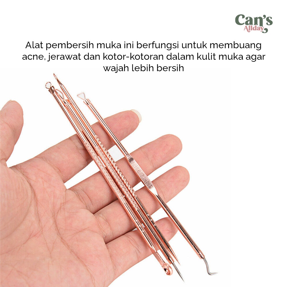 Alat Pembersih Muka Set Acne Pimple Needle Remover Kit 4 PCS