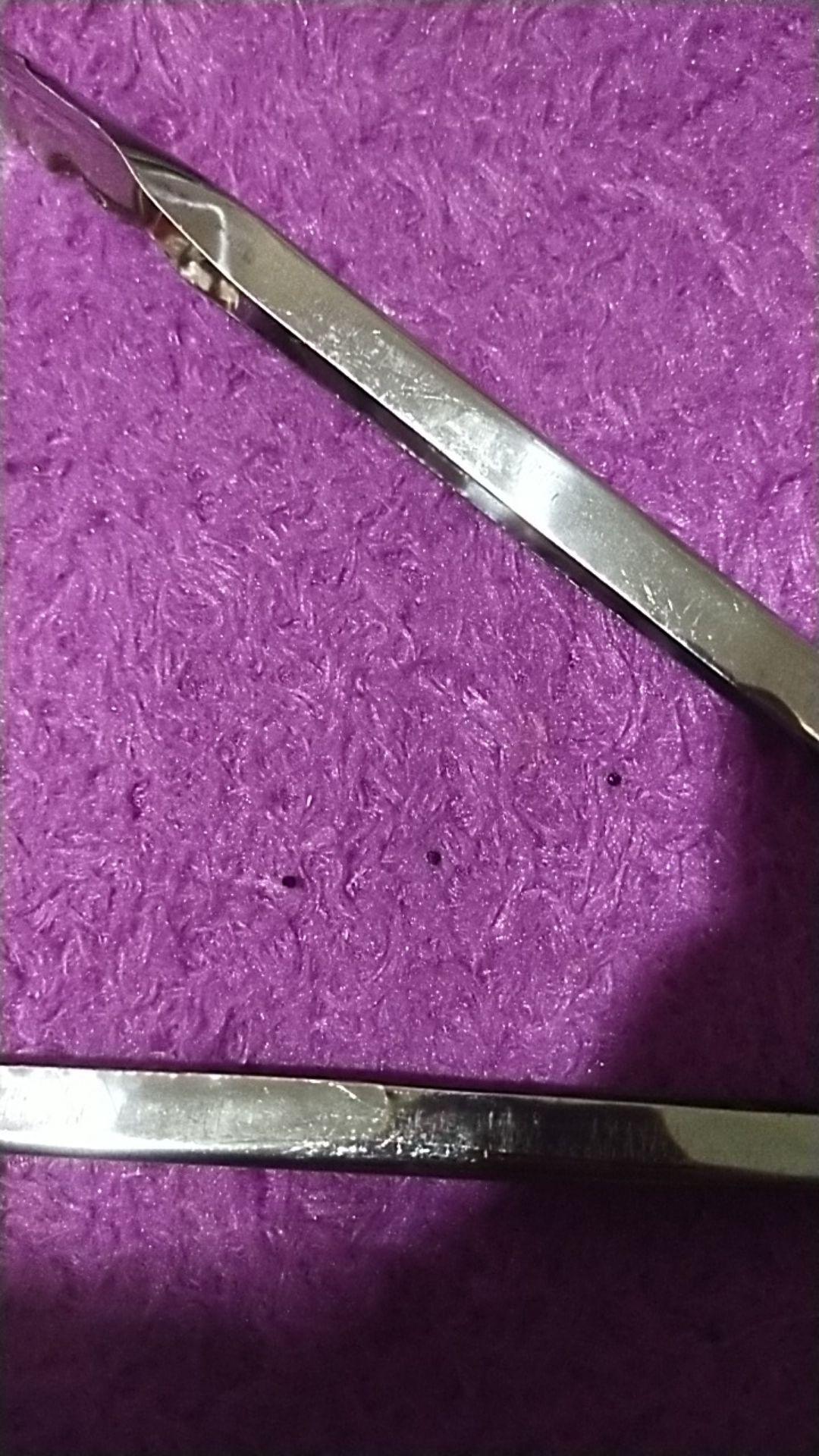 Capitan Capit Penjepit Makanan Stainless Steel Besi Ukuran Sedang