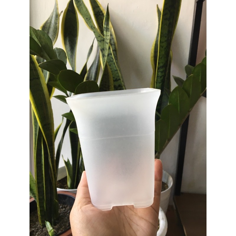 Pot NKT 8 bening - pot kotak - pot kaktus - pot bening