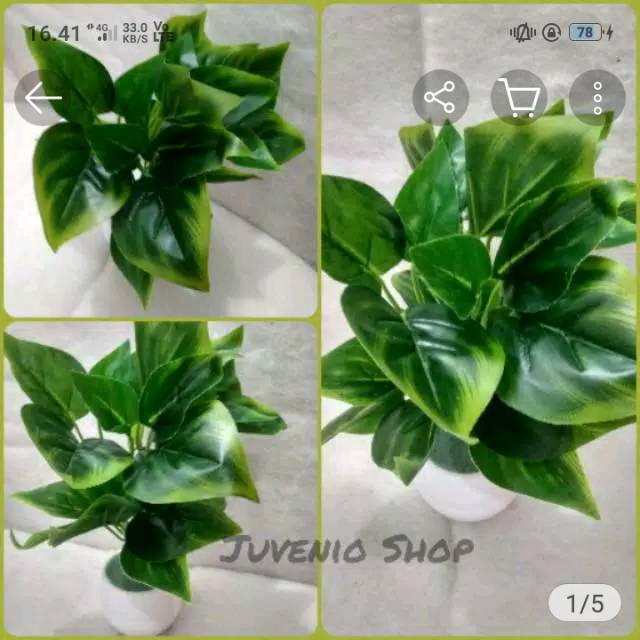 Tanaman hias aglonema strip kuning artifisial/tanaman imitasi plastik