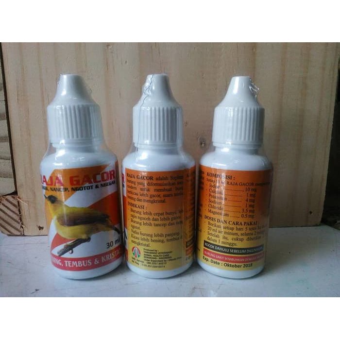 Murah Meriah Raja Gacor Obat Gacor Burung Kicau Jadi Lebih