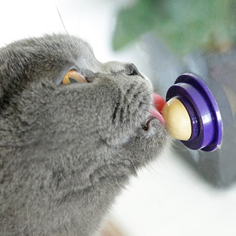 CATNIP PERMEN - CATNIP BALL BOLA PERMEN UNTUK KESEHATAN KUCING FEFARM