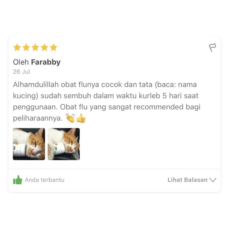 Vitamin Kucing Gangguan Imunitas Anti Flu, Batuk, Pilek / Doctor Jon Flu Force