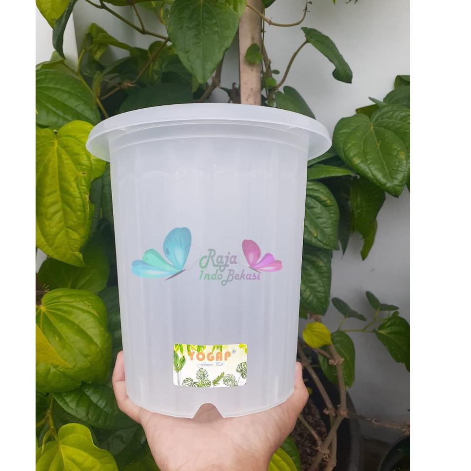 Best Terlaris TMSIE POT BUNGA YOGAP YPT 15 BENING TRANSPARAN BESAR mirip pot yogap 10 13 15 17 18 19