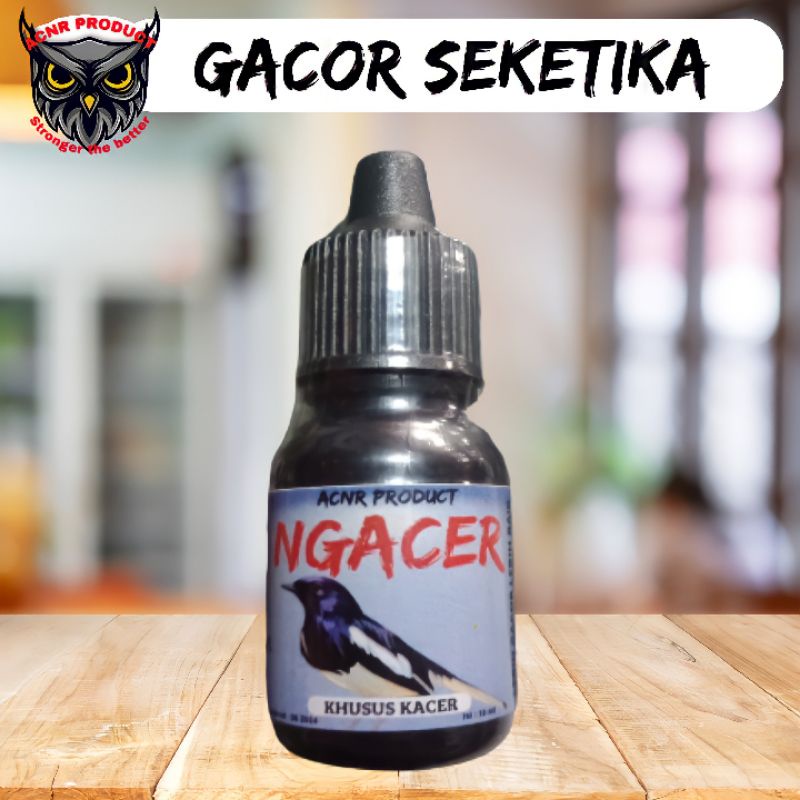 NGACER OBAT GACOR BURUNG KACER PENGGACOR BURUNG KACER OBAT GACOR KHSUS BURUNG KACER VITAMIN BURUNG K