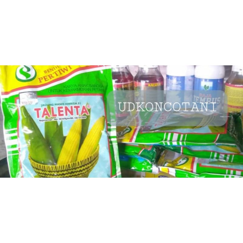 Jual Benih Jagung Manis Hibrida Talenta Isi Gr Dari Pertiwi Indonesia Shopee Indonesia