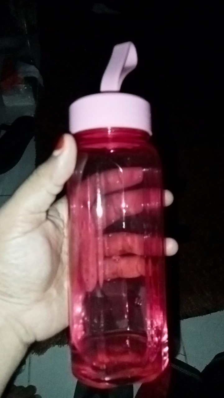 (abs) Botol Minum Infuser Gampang Dibawa Bpa Free 400ml