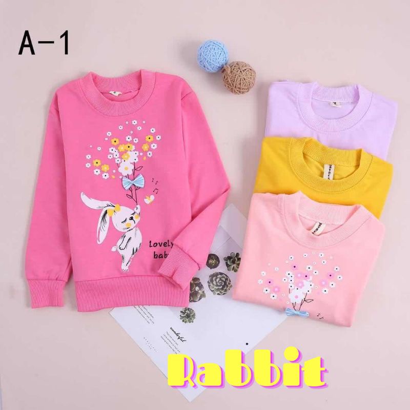 Sweater Anak Perempuan Import Premium 2-5 Tahun Laurakidshop