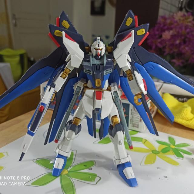 Junk HGCE Revive Strike Freedom