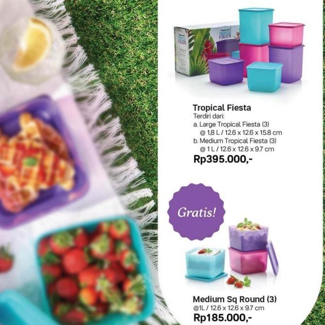TUPPERWARE Tropical Fiesta Set 6pcs Free Medium Sq Round ---Termurah---