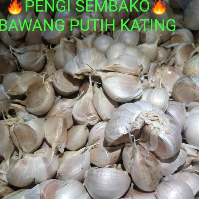 

Diskon Bawang Putih KATING 1Kg Big Sale