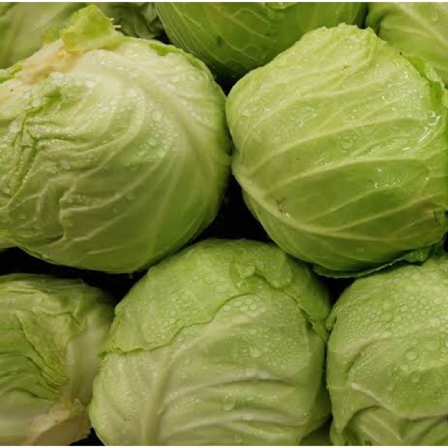 

Kol/Kubis (Cabbage) 1 kg - sayur curah