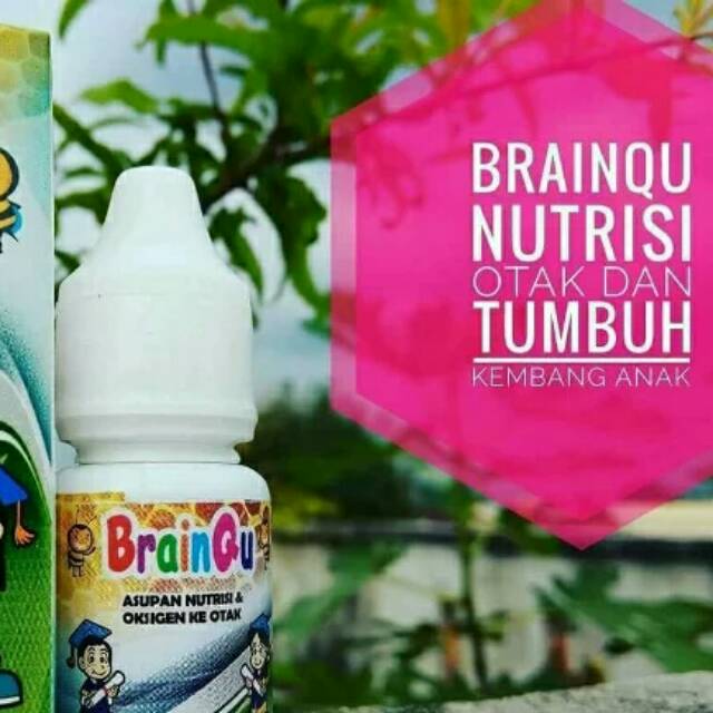 

Madu brainque nutrisi otak dan tubuh