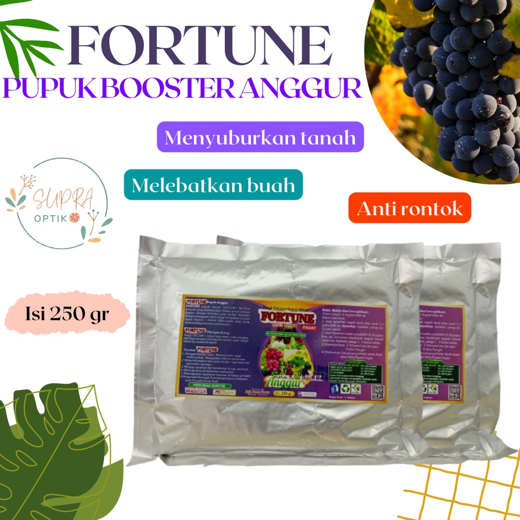 Pupuk Booster Anggur Cepat Berbuah, Pupuk Anggur Masa Pertumbuhan