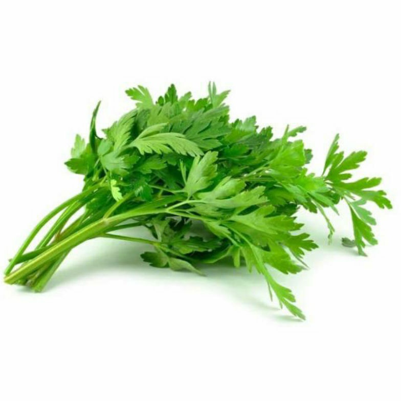 

Daun Bawang Seledri Segar 100 GR | Sayuran Fresh Jakarta