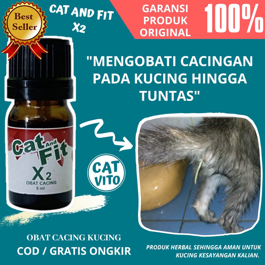 PAKET Obat Anti Jamur Cacing Kutu Scabies Kucing X1 dan X2 Cat and Fit Ampuh