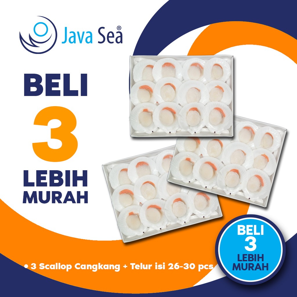 

BELI 3 LEBIH MURAH - Scallop Cangkang Telur 21-30 pcs