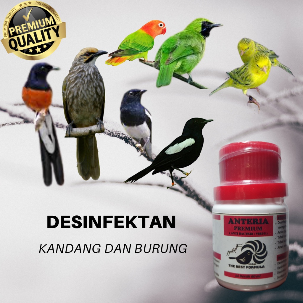 DESINFEKTAN KANDANG DAN PERALATAN TERNAK BURUNG CUCAKRAWA MURAI BATU