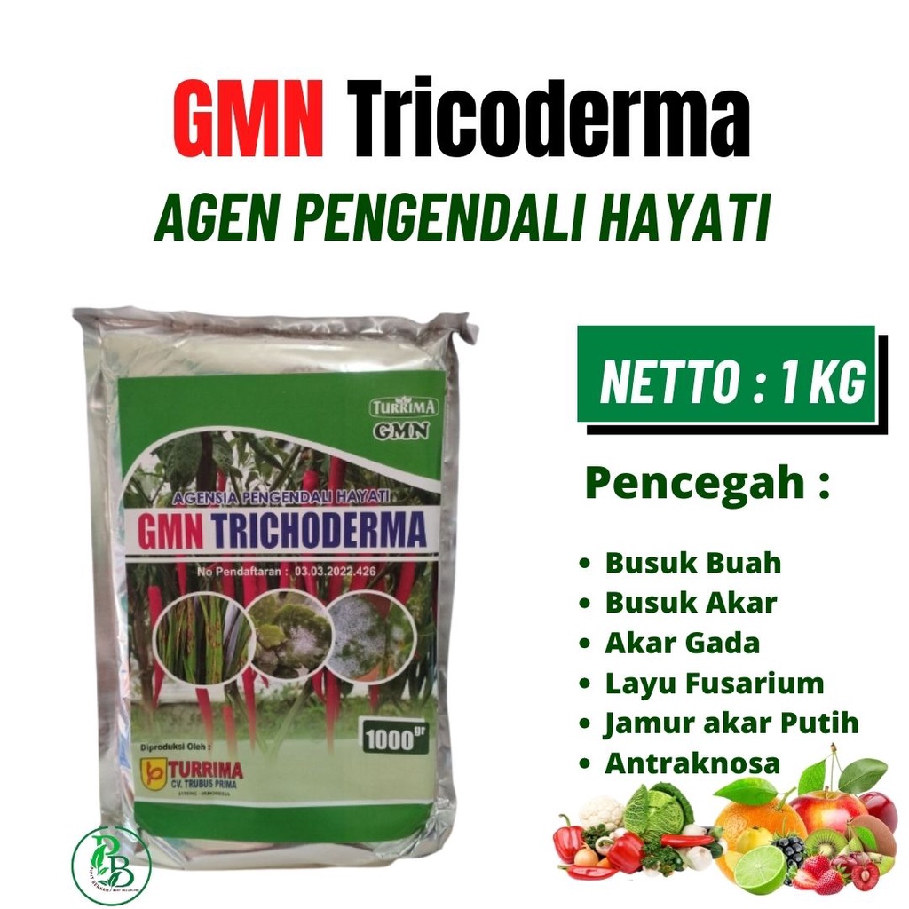 PUPUK HAYATI TRICHODERMA SYMBIOS, PUPUK HAYATI AKAR GADA