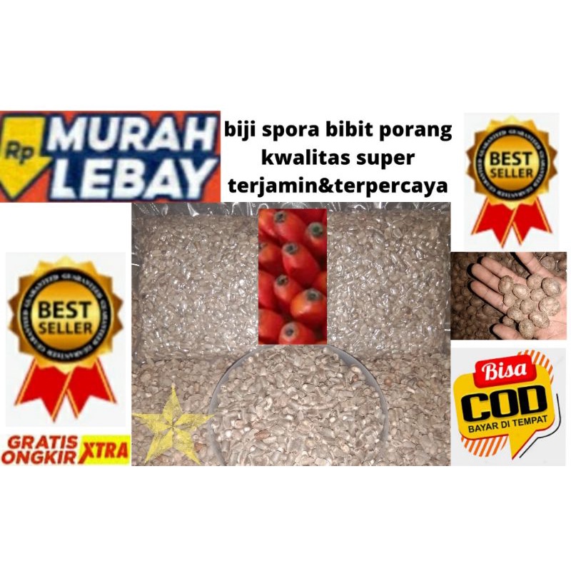 

biji spora super kemasan (1kg )