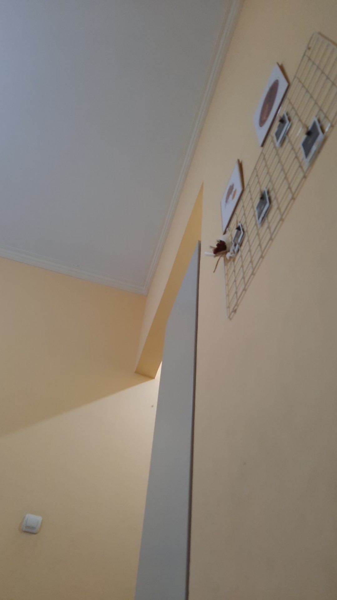 New Produck!! Tanaman Hias Lipstik Gantung Bunga Merah - Tanaman Gantung