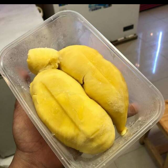 

Durian Montong palu