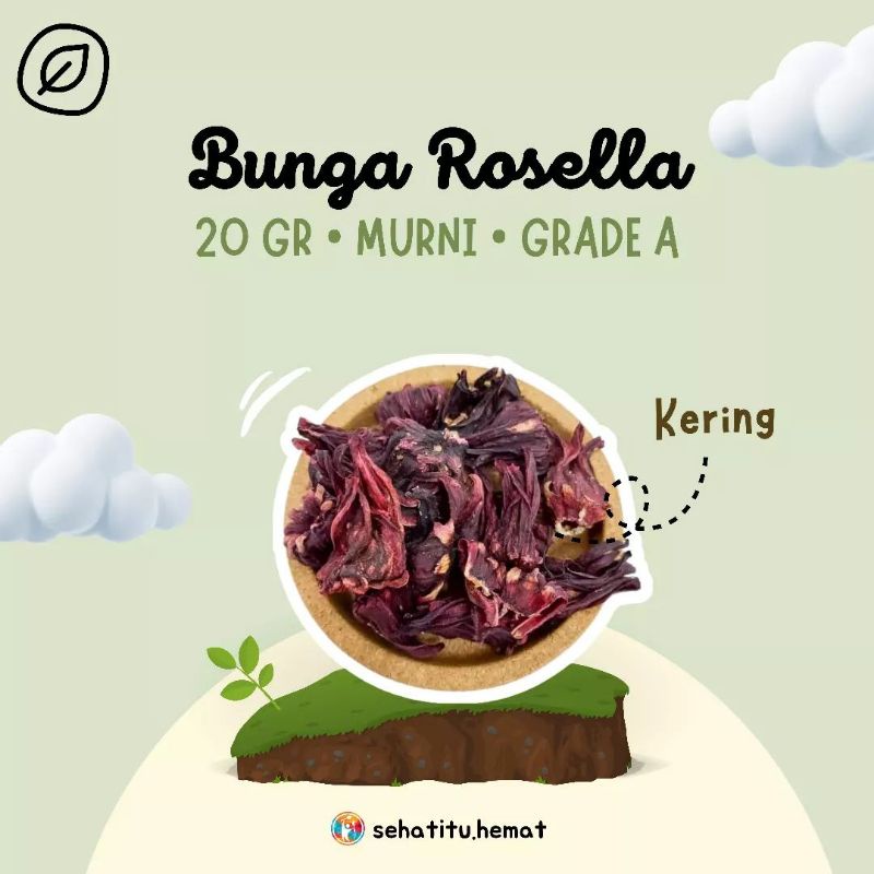 

Bunga Rosella Ungu Kering 20gr Minuman Rempah JSR