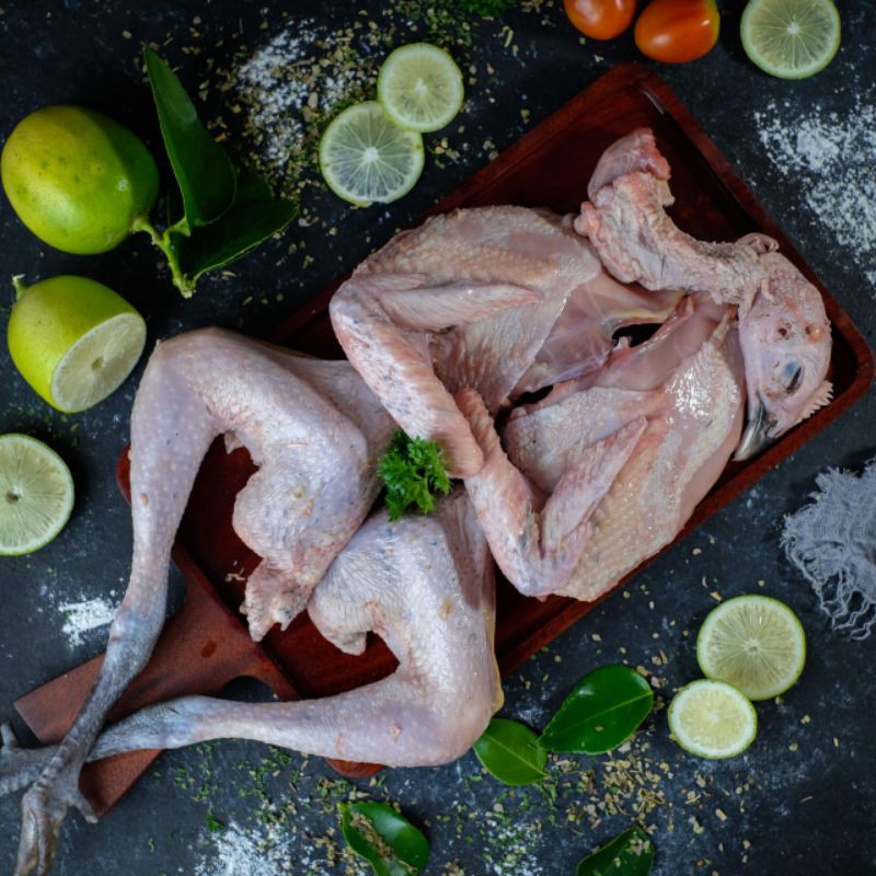 

ayam kampung