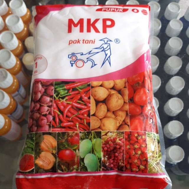 Pupuk MKP