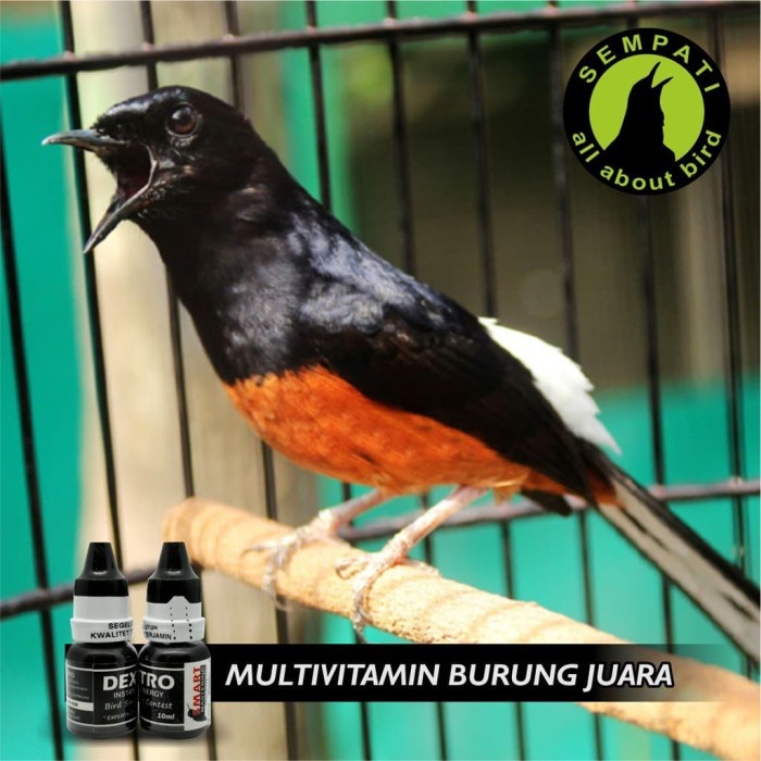 Obat Dextro Black Series