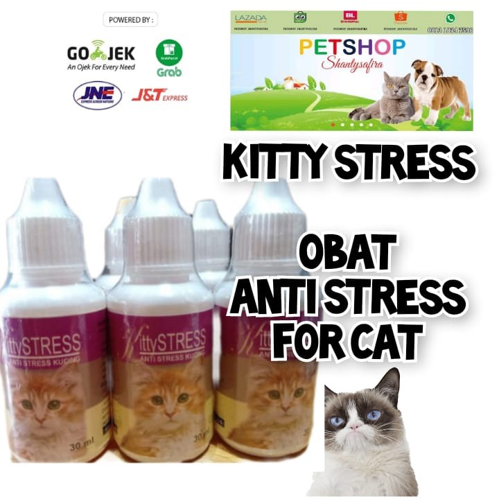 KITTY STRES OBAT ANTI STRES FOR CAT UNTUK KUCING