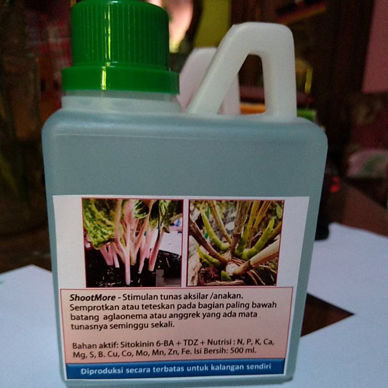 Shootmore (Perangsang Tunas Aglonema/ Anggrek)