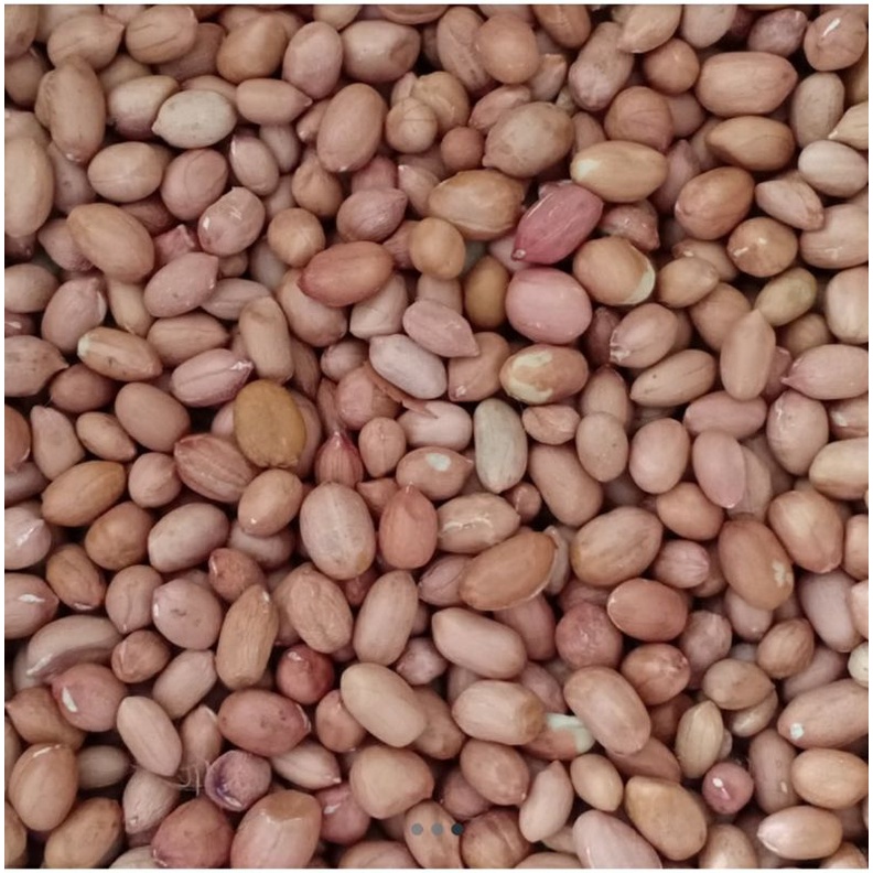 

Kacang tanah mentah 1kg.