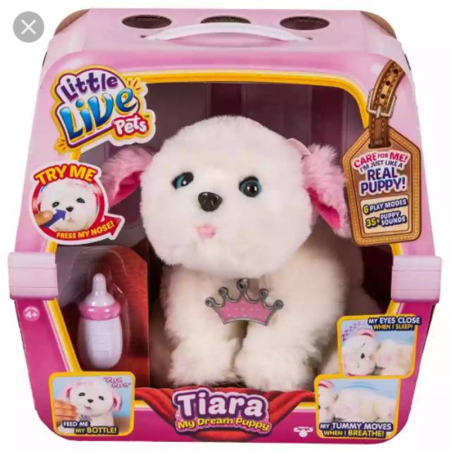 tiara my dream puppy