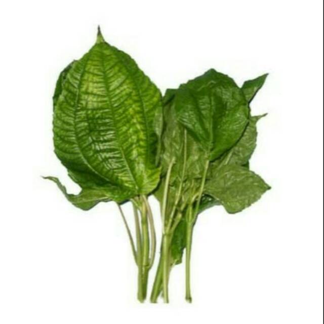 

DAUN POHPOHAN - PASAR KEMIRI