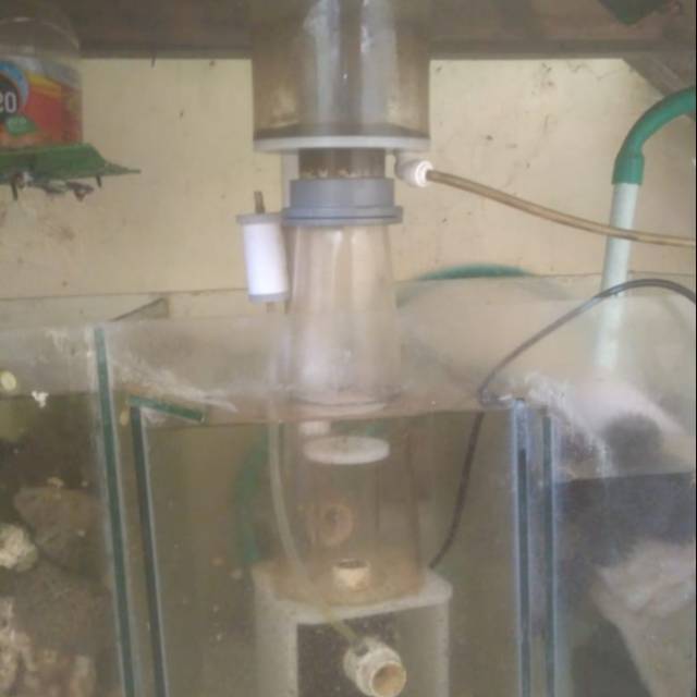 Protein skimmer