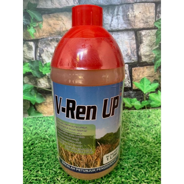 Pembasmi Rumput Liar V-Ren Up 1 Liter