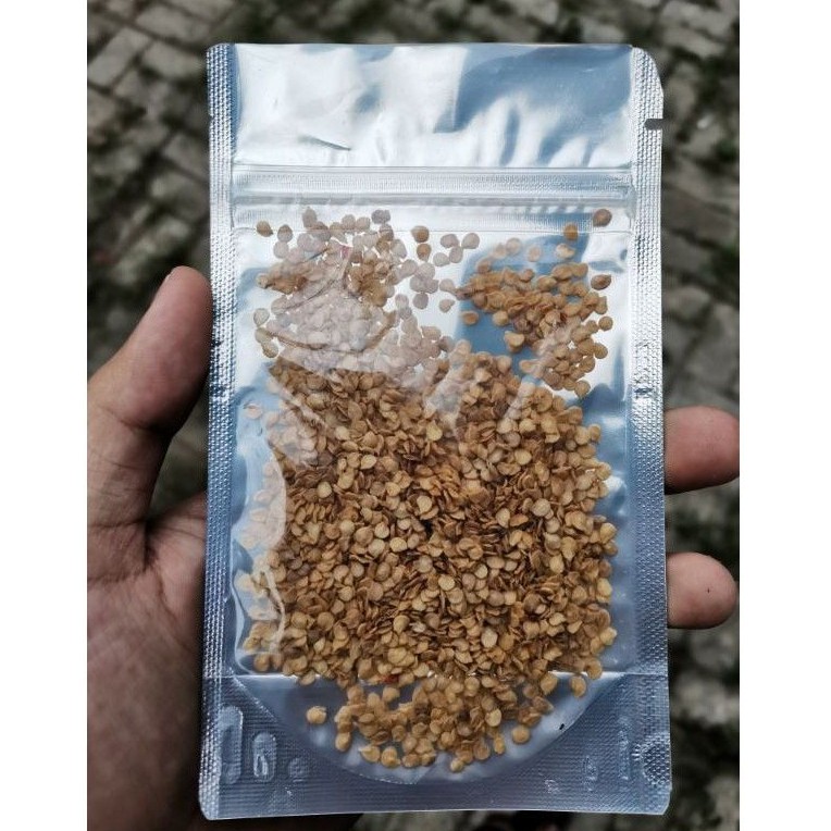 Benih Bibit Cabe Hiyung 10gr |Asli tempatnya| Isi Super Banyak