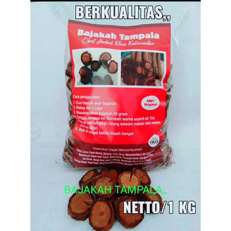 

Akar Bajakah Tampala