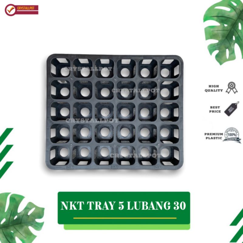 Tray pot nkt kotak 5cm lubang 30 (tanpa pot) | TRAY NKT 5CM LUBANG 30