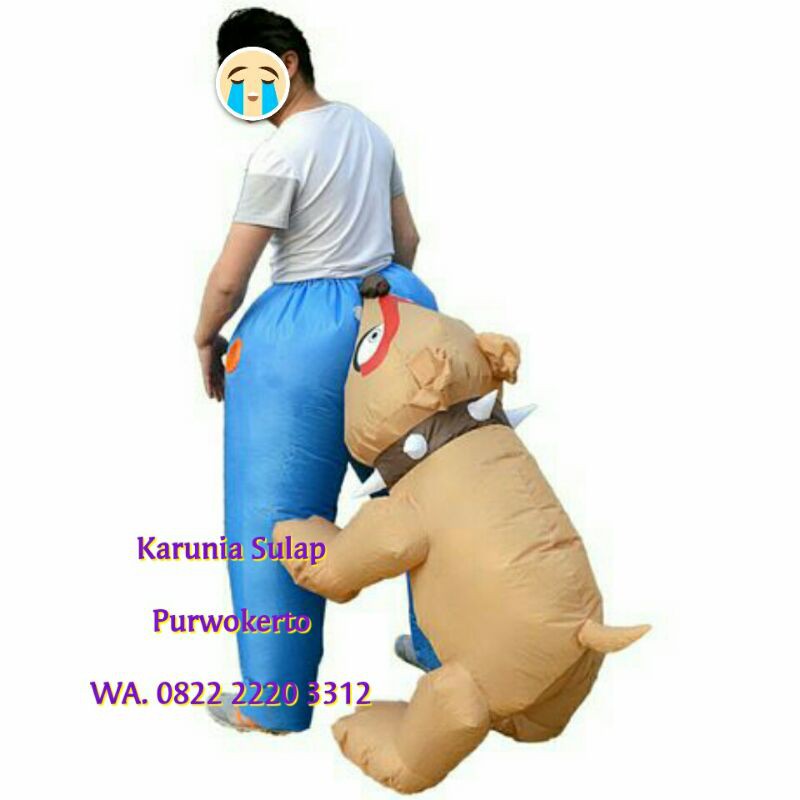 KOSTUM DI GIGIT ANJING