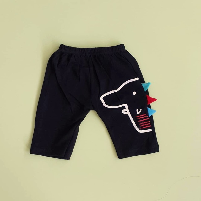 Setelan Anak Baby Dino Set (6-12 bulan)