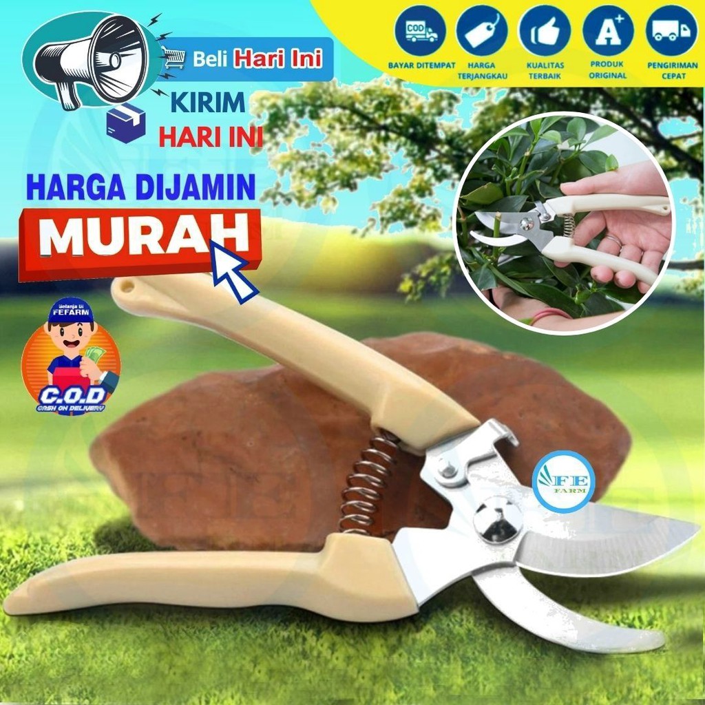 Gunting Dahan Ranting Pruning  Alat Potong Dahan Ranting Stek Pruning Shears