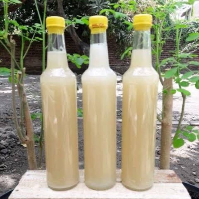 

Madu Putih Sumbawa