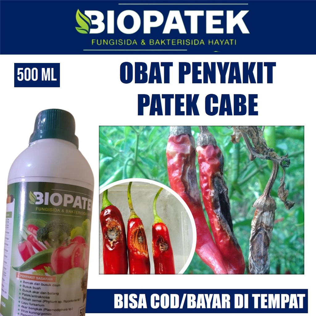 500 ml BIOPATEK Fungisida Hayati obat no-patek untuk cabe - obat rontok cabe- obat patek busuk cabai