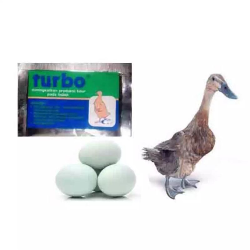 Suplemen untuk pertumbuhan bebek petelur agar banyak Turbo