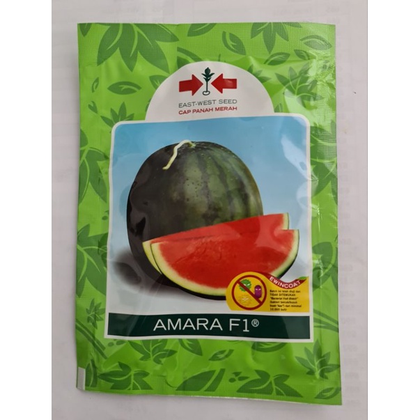 Bibit Semangka (Amara F1)