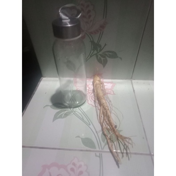 gingseng + botol 300ml